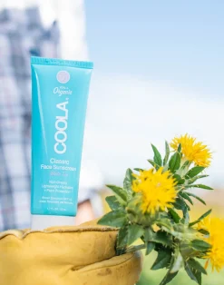 Carve Designs Accessories^COOLA Classic Face Sunscreen: White Tea